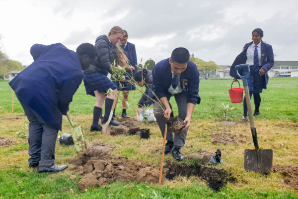 Y13 Tree Planting